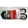 Ремень поликлиновый GATES 6PK1173