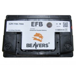 Аккумулятор залитый 6СТ-77 BEAVERS ASIA EFB (750А) (R+)