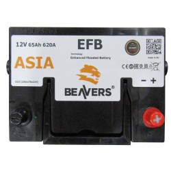 Аккумулятор залитый 6СТ-65 BEAVERS ASIA EFB (620А) (R+)