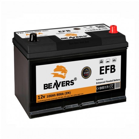 Аккумулятор залитый 6СТ-100 BEAVERS ASIA EFB (800А) (R+)